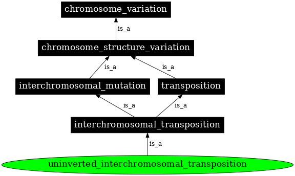 Graph image for SO:1000157