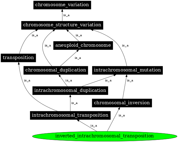 Graph image for SO:1000158