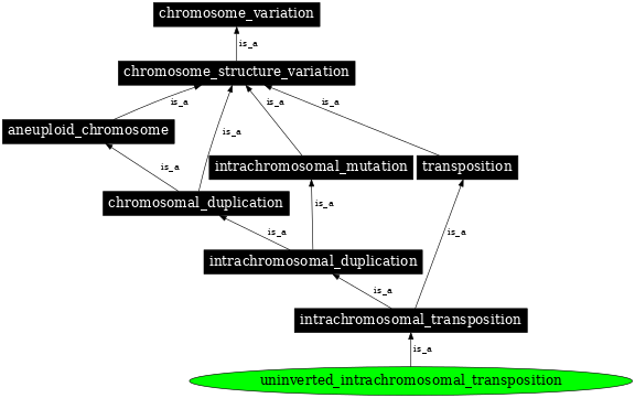 Graph image for SO:1000159
