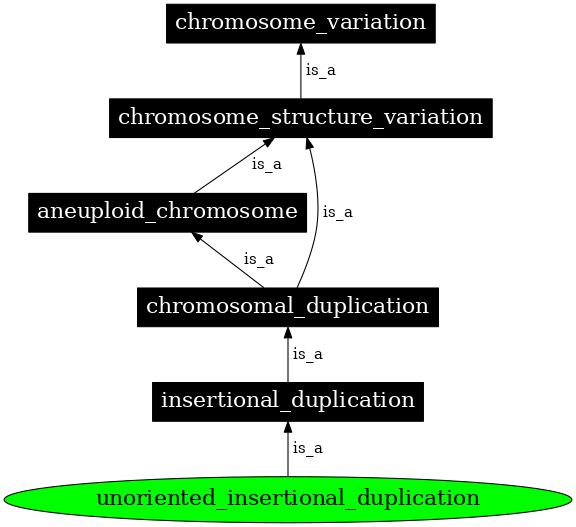 Graph image for SO:1000160