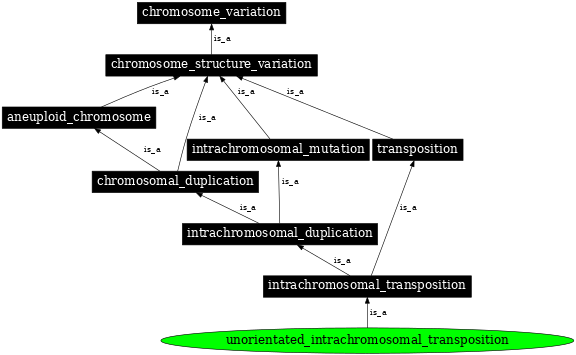 Graph image for SO:1000162