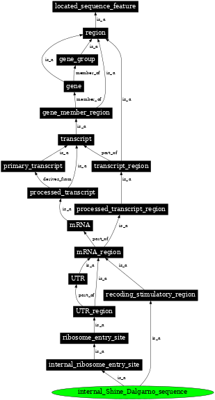 Graph image for SO:1001260