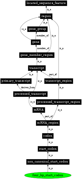 Graph image for SO:1001269