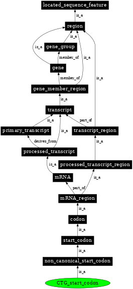 Graph image for SO:1001273