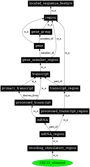 Graph image for SO:1001274