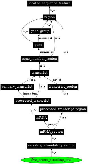 Graph image for SO:1001280