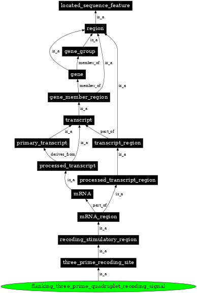 Graph image for SO:1001281