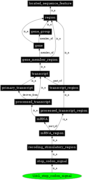Graph image for SO:1001282
