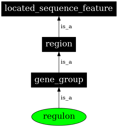 Graph image for SO:1001284