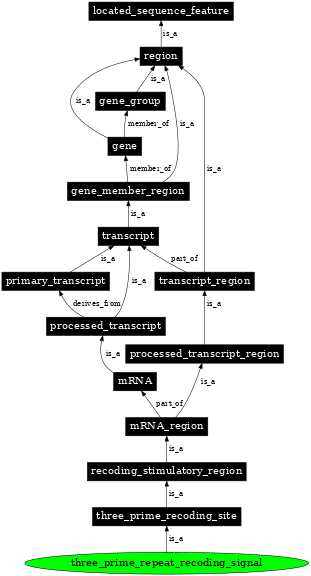 Graph image for SO:1001286