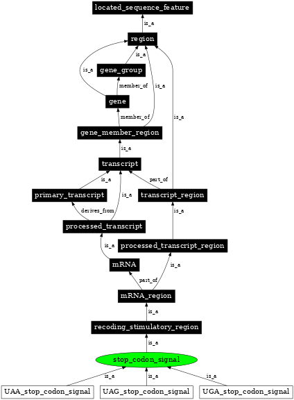 Graph image for SO:1001288