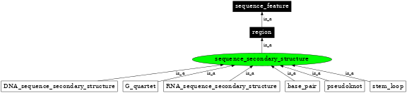 Graph image for SO:0000002