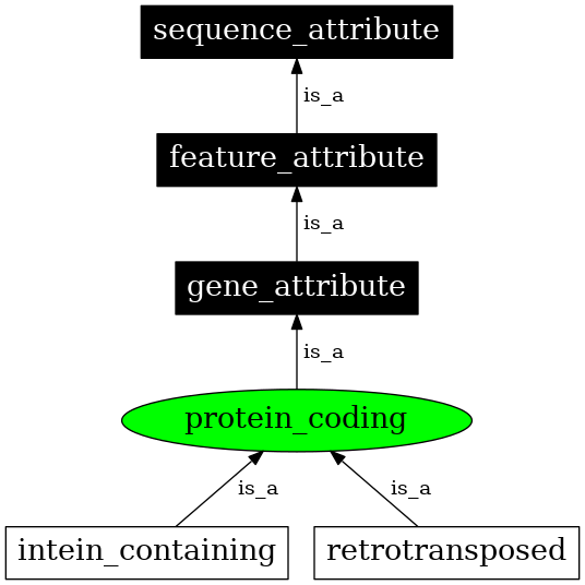 Graph image for SO:0000010