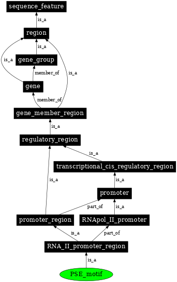 Graph image for SO:0000017