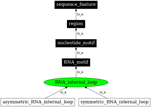 Graph image for SO:0000020