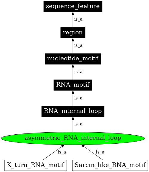Graph image for SO:0000021