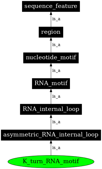 Graph image for SO:0000023