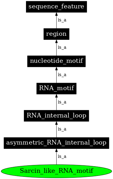 Graph image for SO:0000024