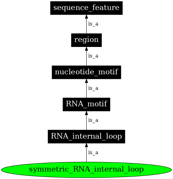 Graph image for SO:0000025