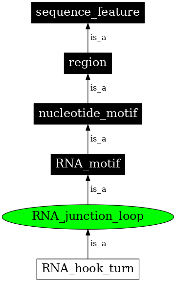 Graph image for SO:0000026