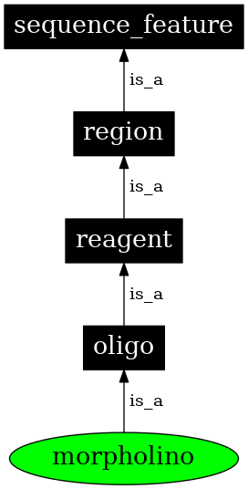 Graph image for SO:0000034