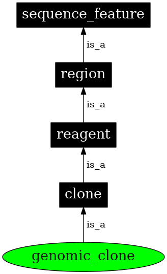 Graph image for SO:0000040