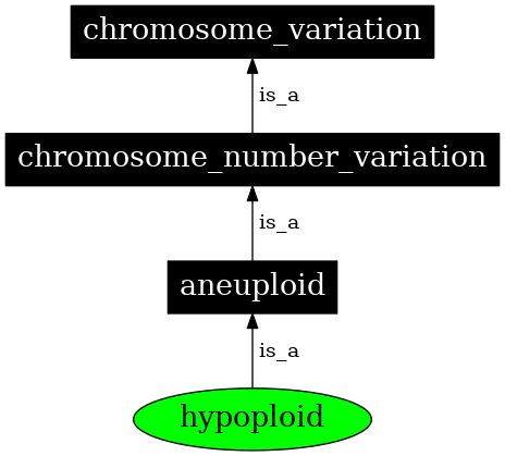 Graph image for SO:0000056