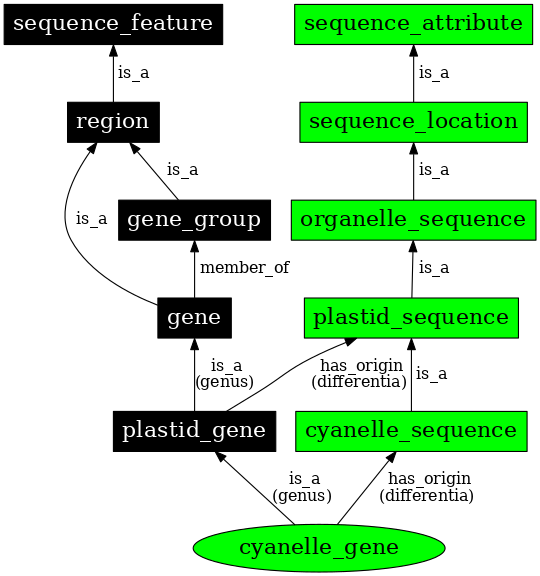 Graph image for SO:0000094