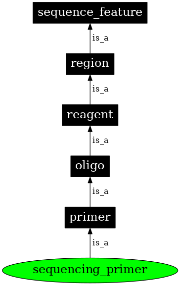 Graph image for SO:0000107