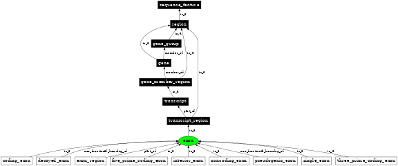 Graph image for SO:0000147