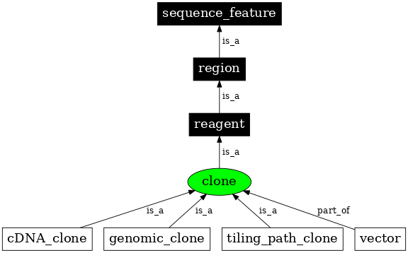 Graph image for SO:0000151