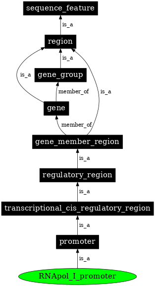 Graph image for SO:0000169