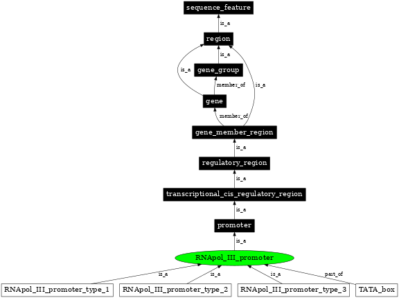 Graph image for SO:0000171