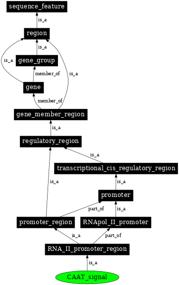 Graph image for SO:0000172