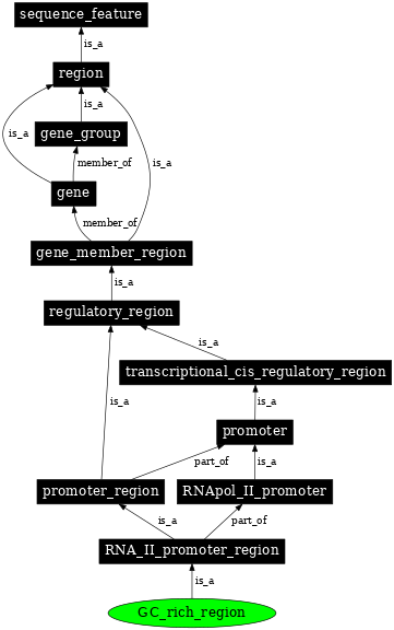Graph image for SO:0000173