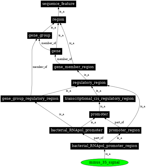 Graph image for SO:0000176