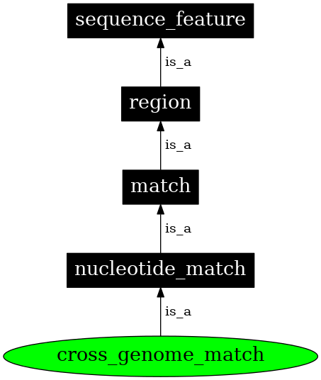 Graph image for SO:0000177