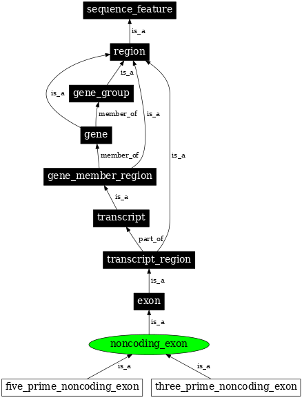 Graph image for SO:0000198