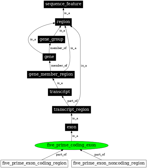 Graph image for SO:0000200