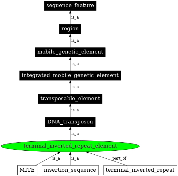 Graph image for SO:0000208