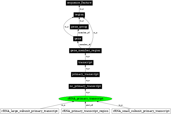 Graph image for SO:0000209