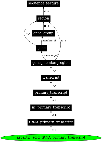 Graph image for SO:0000214