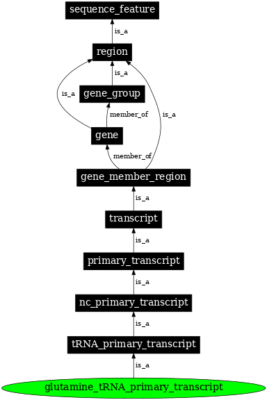 Graph image for SO:0000217