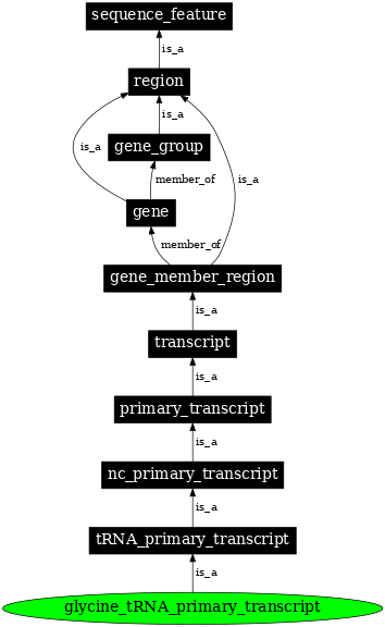 Graph image for SO:0000218