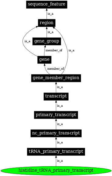 Graph image for SO:0000219