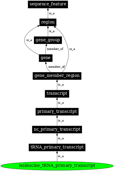 Graph image for SO:0000220