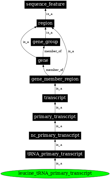 Graph image for SO:0000221