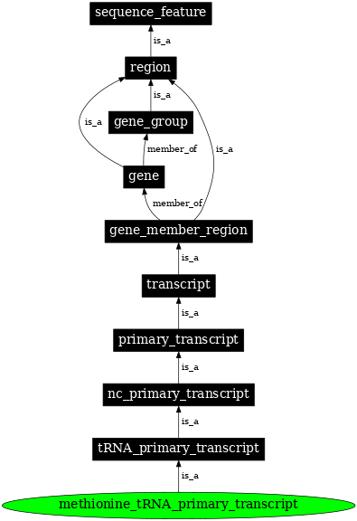 Graph image for SO:0000223