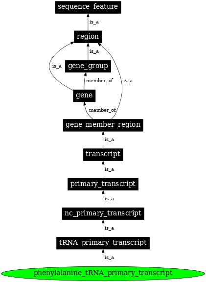 Graph image for SO:0000224