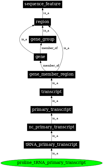 Graph image for SO:0000225